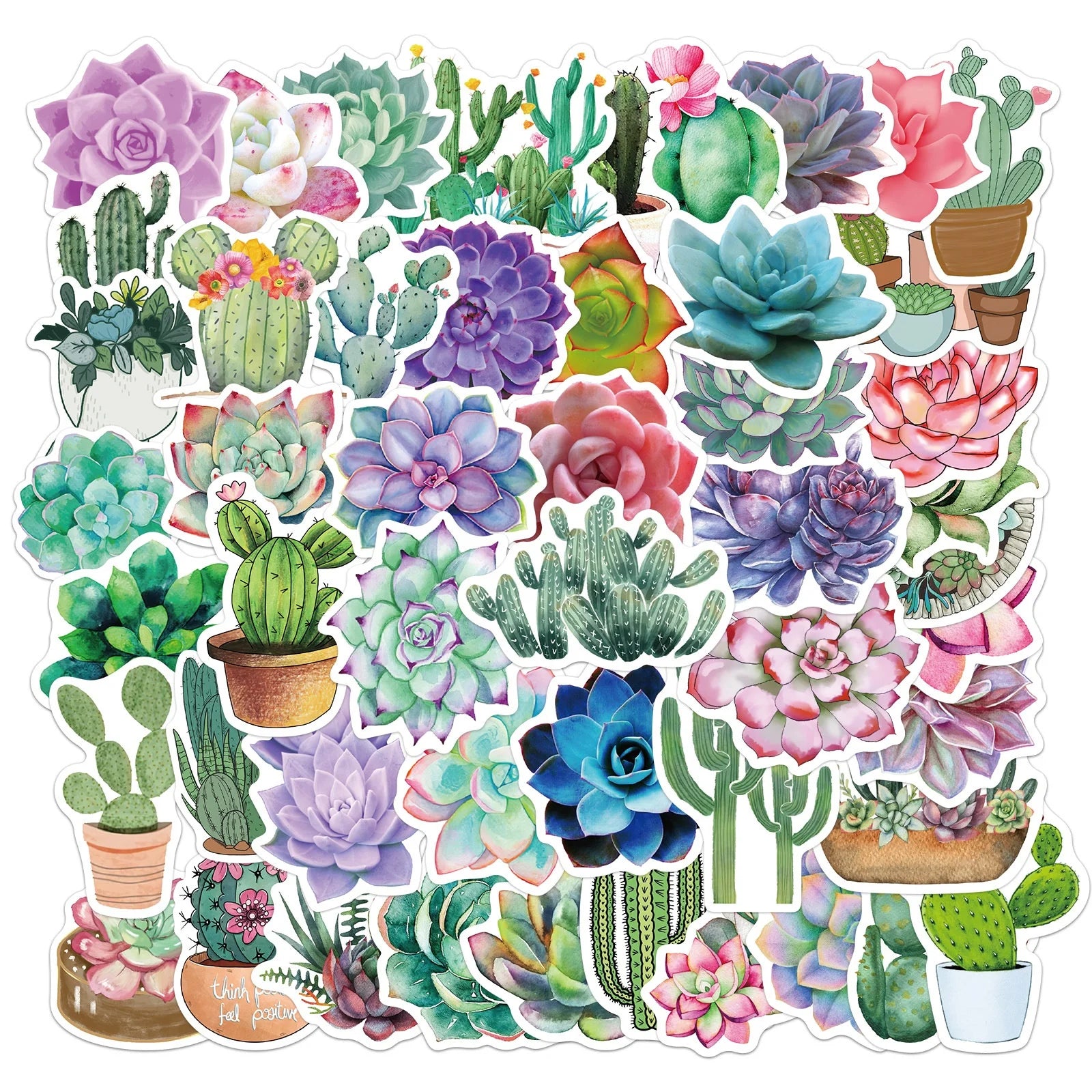 50Pcs Cactus Succulent Plant Fresh Sticker Flower Family Vinyl Decor Stickers