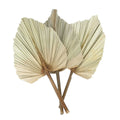 Real Natural Dried Palm Leaves Spears for Rustic Wedding Decorations