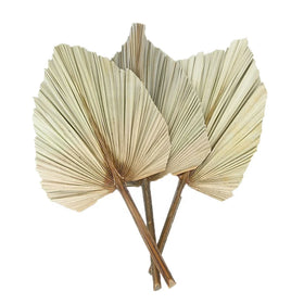Real Natural Dried Palm Leaves Spears for Rustic Wedding Decorations