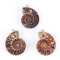 2026 Natural Brown Tiger Eye Gemstone Pendant Necklace Healing Snail Fossil Hexagonal Pointed Reiki Chakra 8*32Mm Wholesale