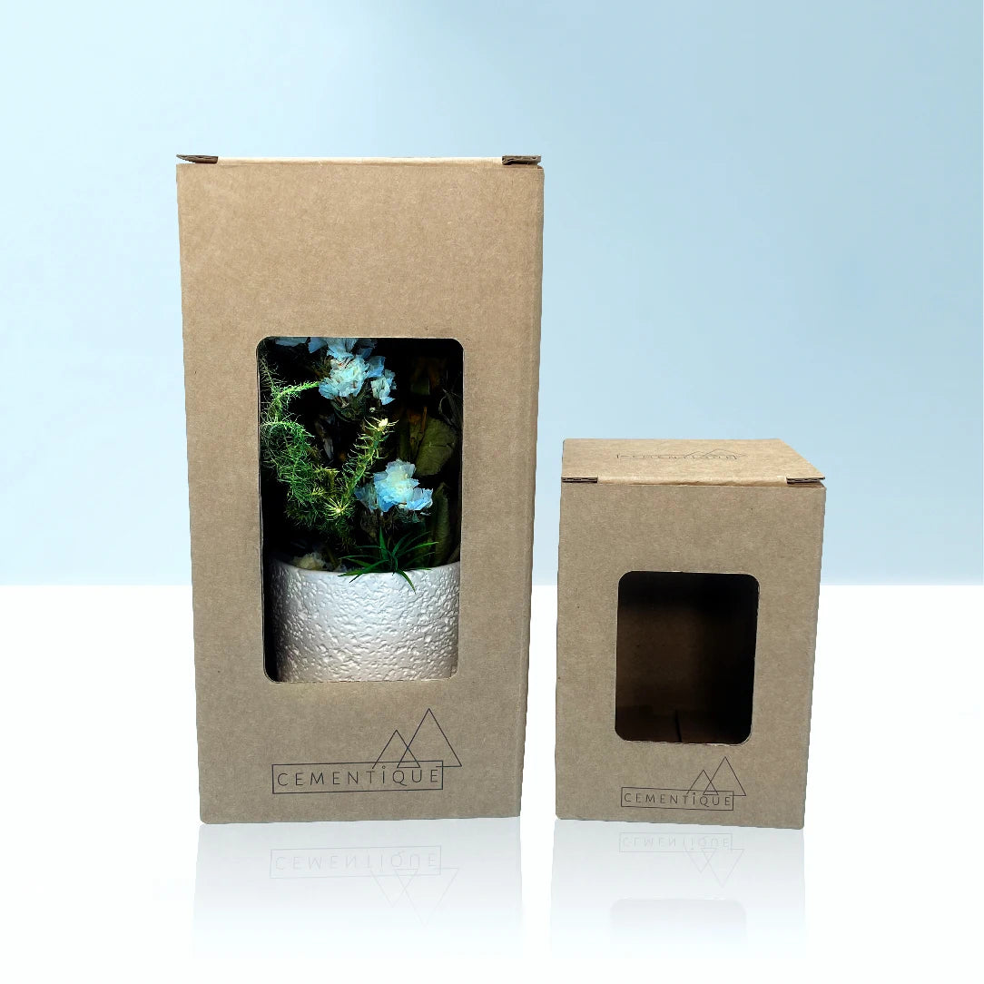 Custom Recyclable Eco-Friendly Kraft Corrugated Paper Boxes with Cut-out Window for Pots Plants