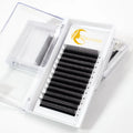 0.07mm WW Shape Eyelash Extension C D Curl WW Lash With Free Samples Eyelash W