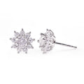 925 Sterling Silver Jewelry Gold Filled Earrings Customize Earrings Sets Women Earings