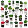 Wholesale Artificial Succulent Pants Bonsai Succulent With Square Ceramic Pot Indoor Plant Pots