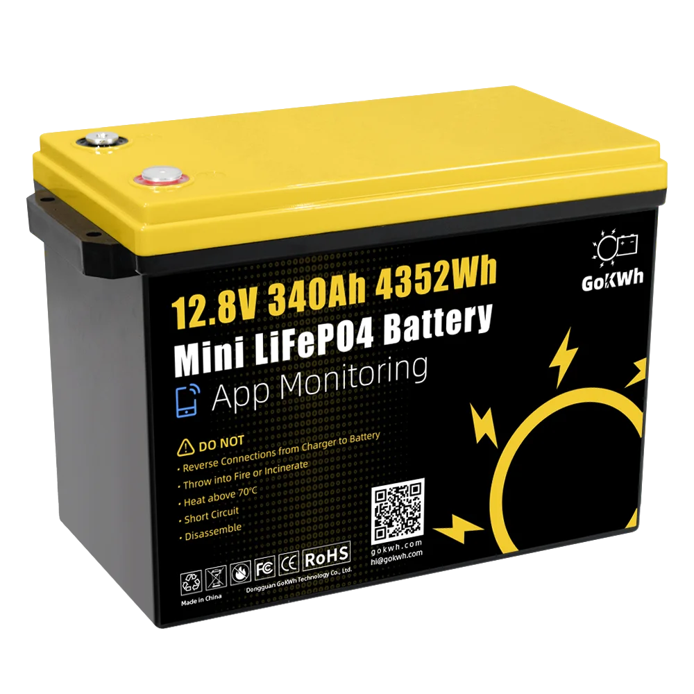 GoKWh LiFePo4 Battery 12V 340Ah 320Ah 24V 36V 48V 100Ah 300Ah 200Ah 400Ah 600Ah Blue tooth IP65 Waterproof Solar Lithium Battery