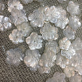 20mm Natural Freshwater White Butterfly Shell Mother of the Pearl Beads