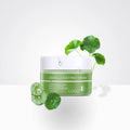 Private Label Skin Care Products Tea Tree Acne Cream Natrual Moisturizing Acne and Scar Removal Cream 30g Acne Removal Cream