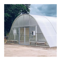 Large PE Single-Span Agricultural Greenhouse Solar Dryer with Hot Dip Galvanized Steel Frame and Film Cover 8x6 Meters