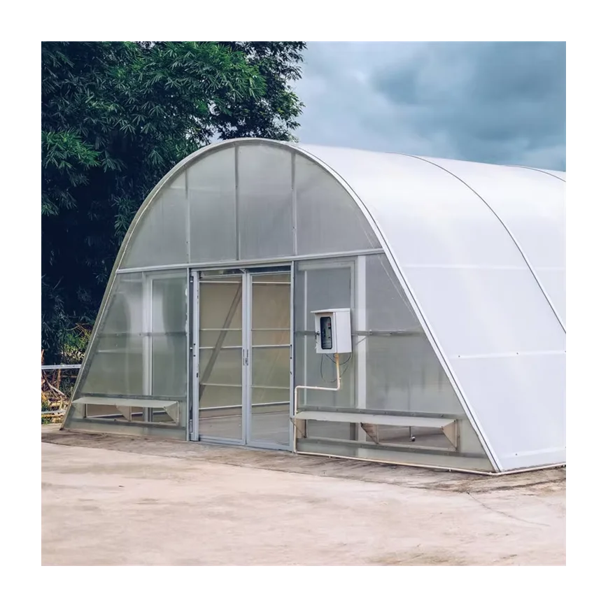 Large PE Single-Span Agricultural Greenhouse Solar Dryer with Hot Dip Galvanized Steel Frame and Film Cover 8x6 Meters