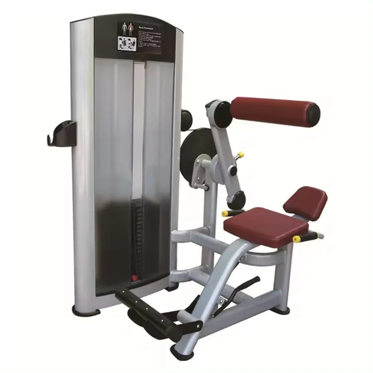 YG-5011  YG Fitness Gym Equipment Fitness Commercial Gym Equipment Back Extension Exercise Equipment