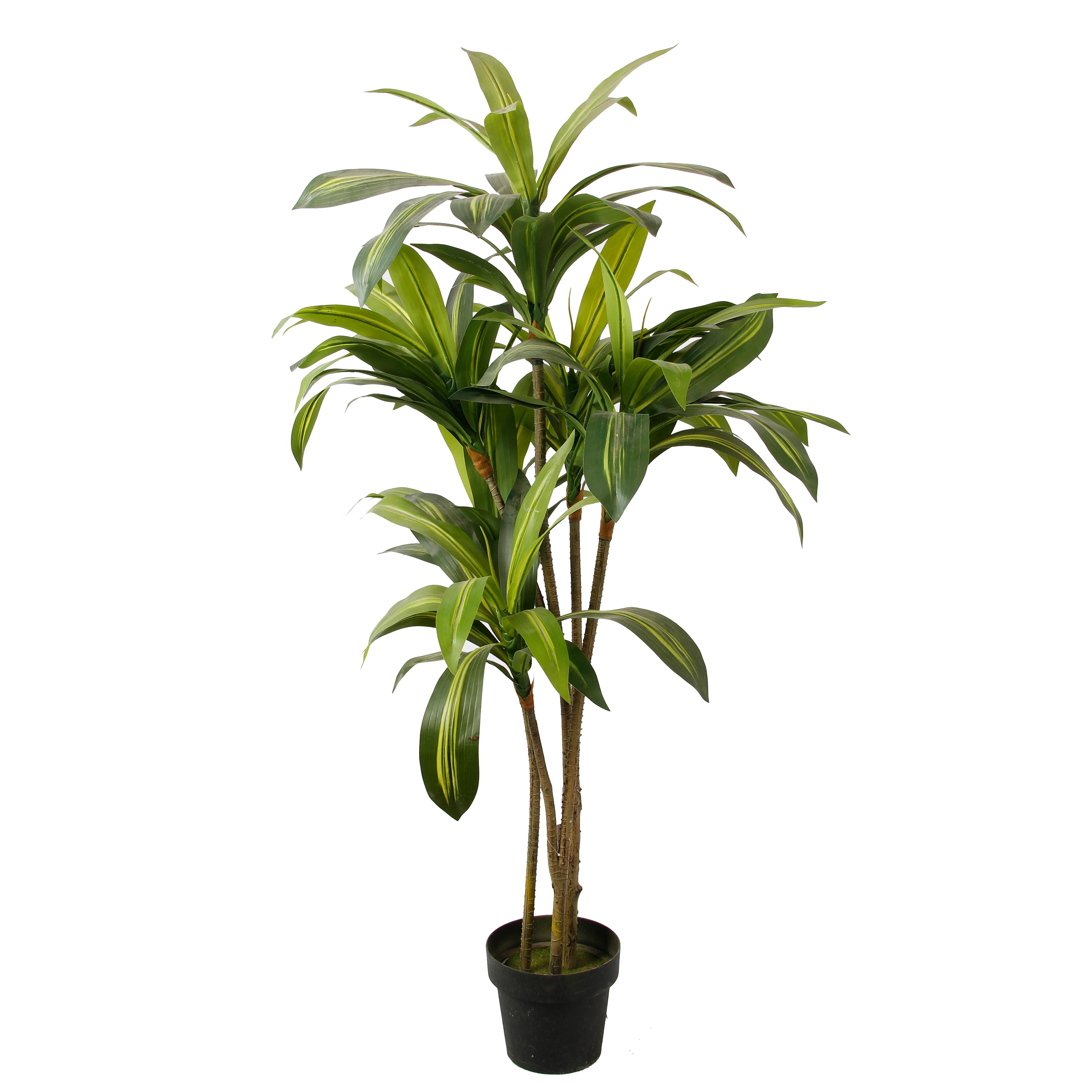 Factory Wholesale Faux Realistic Potted Bonsai Corn Plant Artificial Dracaena Fragrans Tree Dracaena Sanderiena for Home Decor