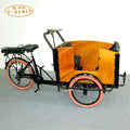 Electric Bicycle Aluminum Alloy Fork 6-Speed 24-Inch Wheels 300KG Load Capacity Cargo Box New Design Modern 3-Wheel Tricycle