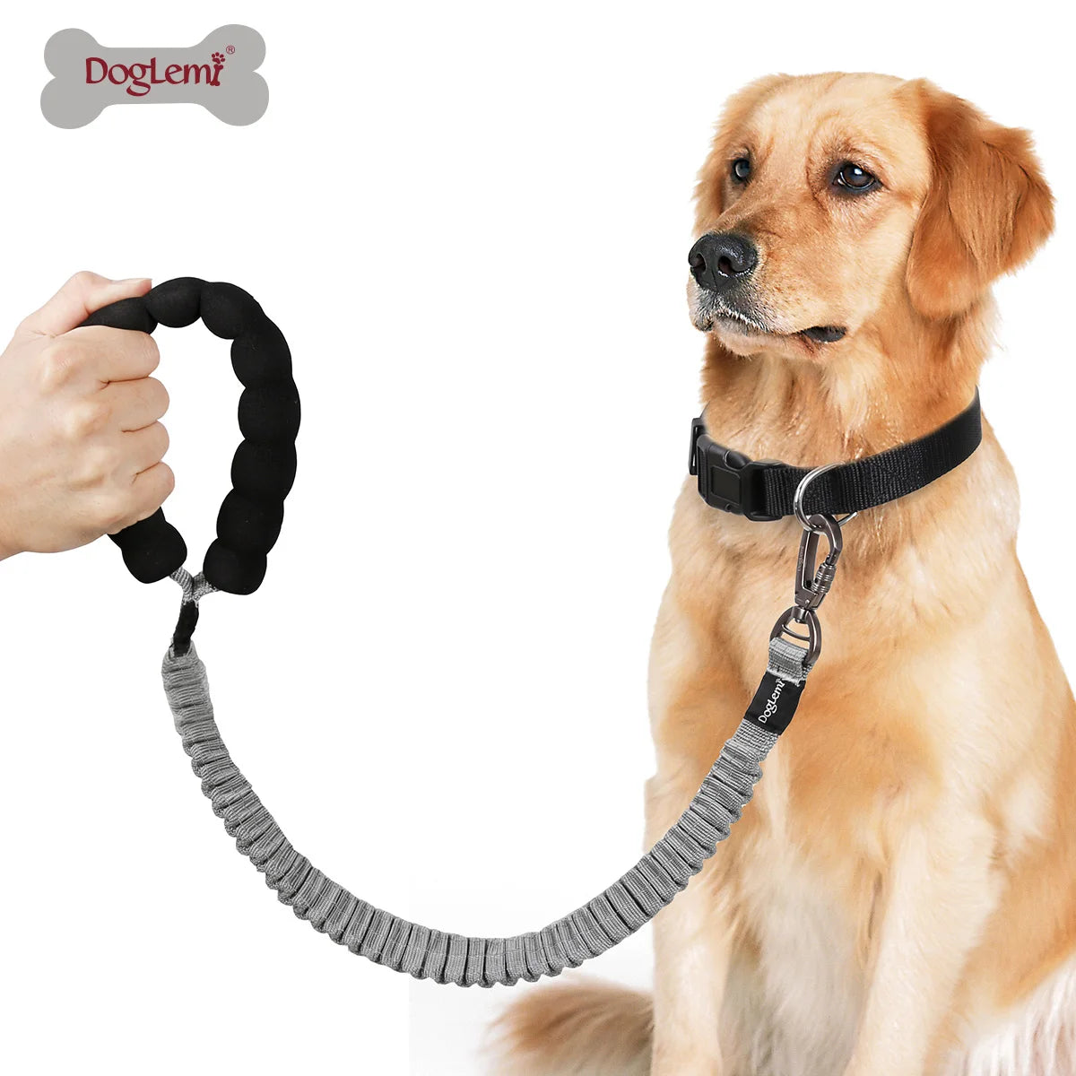 Fashionable Modern Nylon Collar Leash Set Customizable Professional Pet Gear Lights Direct