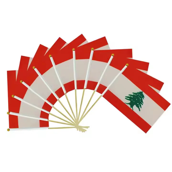 Digital Printed 100% Polyester Hand Flags Small Flags for Outdoor Activities