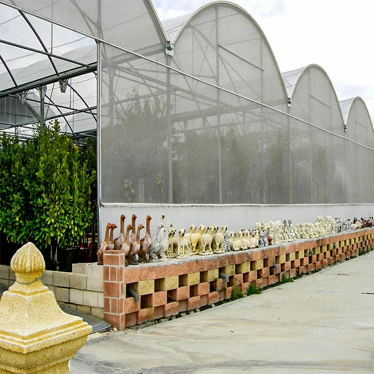 Skyplant Multi-Span PE Film Greenhouse for High Yield Vegetables & Flowers Ideal for Nursery and Flower Farm