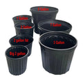 Wholesale Durable Plastic Nursery Gallon Trade Pot 12357 Gallon Holds 0.66 Gal Outdoor Tree Flower Pot Plastic Nursery Pots