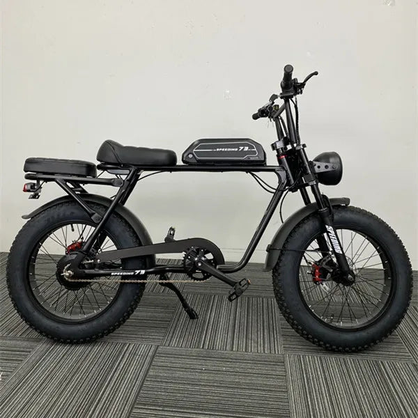 OEM ODM 10Ah 48V Lithium Electric Bicycle 500W 750W 1000W Aluminum Alloy Frame 3 Speed Disc Brake Rear Carrier Rear Hub Motor