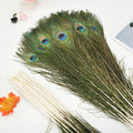 Wholesale DIY Jewelry Wedding Decorations Natural Real Peacock Feathers 20-24in Factory Custom Color