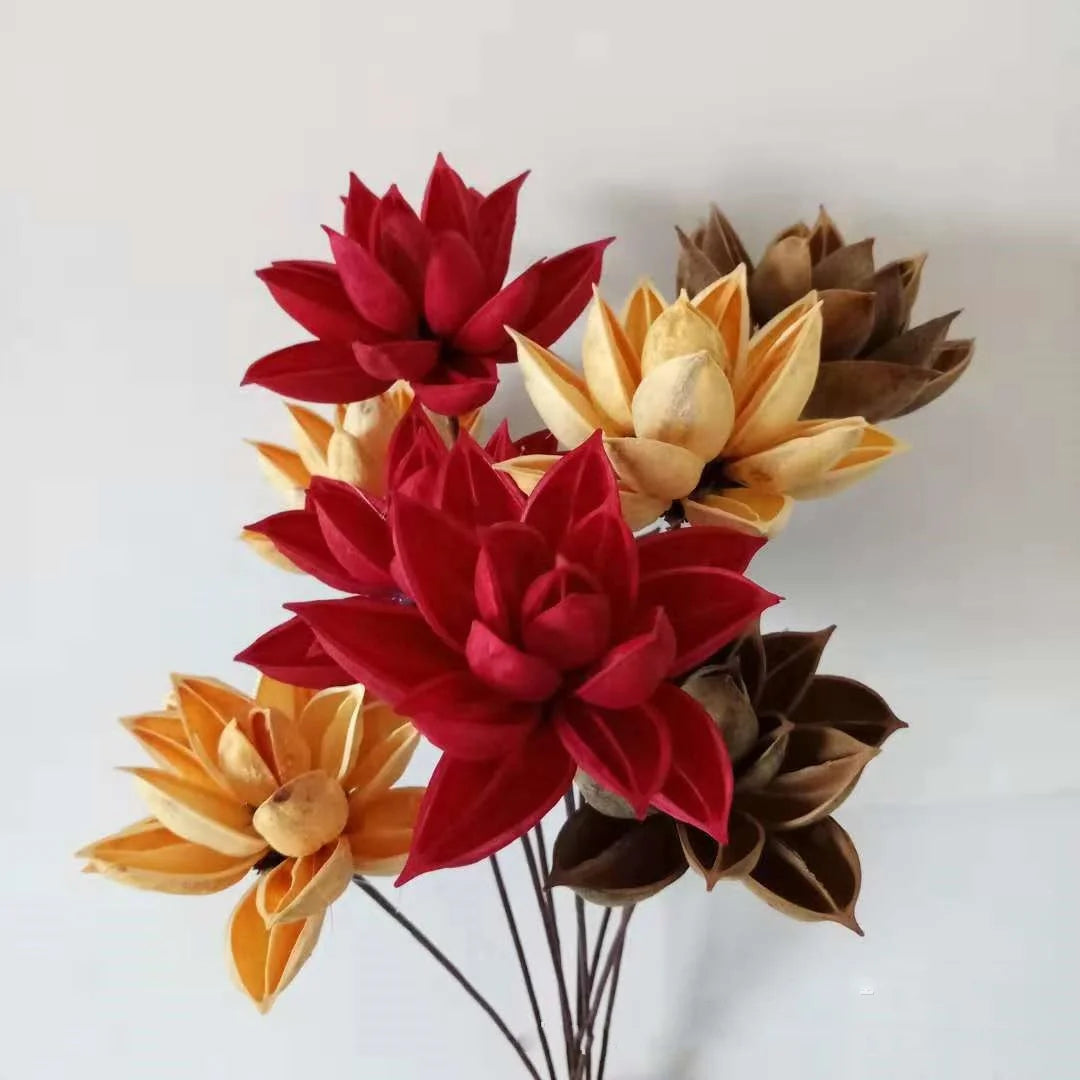 C269 Photography Home Decorative Floral Schima Superba Flowers Real Natural Dry Chinese Redbud for Sale