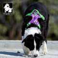 Truelove Wholesale Nylon Adjustable No Pull Ready to Ship Pet Harness Popular Product Trending Fashion Reflective Sport Dog Vest