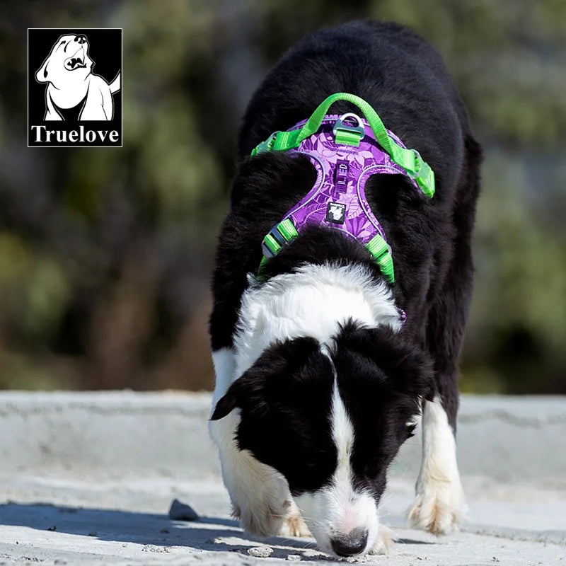 Truelove Wholesale Nylon Adjustable No Pull Ready to Ship Pet Harness Popular Product Trending Fashion Reflective Sport Dog Vest