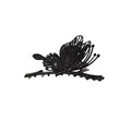 Korean Style Large Back Head Pearl Rhinestone Hairdressing Hair Claws Metal Shark Clip Hair Accessory