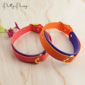 Custom Luxury Rubber Silicone Coated Webbing Pet Long Lead Custom PVC Waterproof Dog Collar