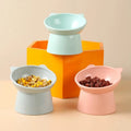 Puda Eco-Friendly Cat Feeder Bowl 15 Degree Tilted Neck Guard Stand Raised Pet Feeding Bowls Plastic Design