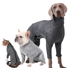 Great Quality Modern Simple Polyester Fabric Pet Bodysuit Prevent Hair Shedding Soft Breathable Cat Dog Recovery Summer Spring