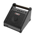 Electronic Durm TDX-20 20 Watt Amplifier/Speaker