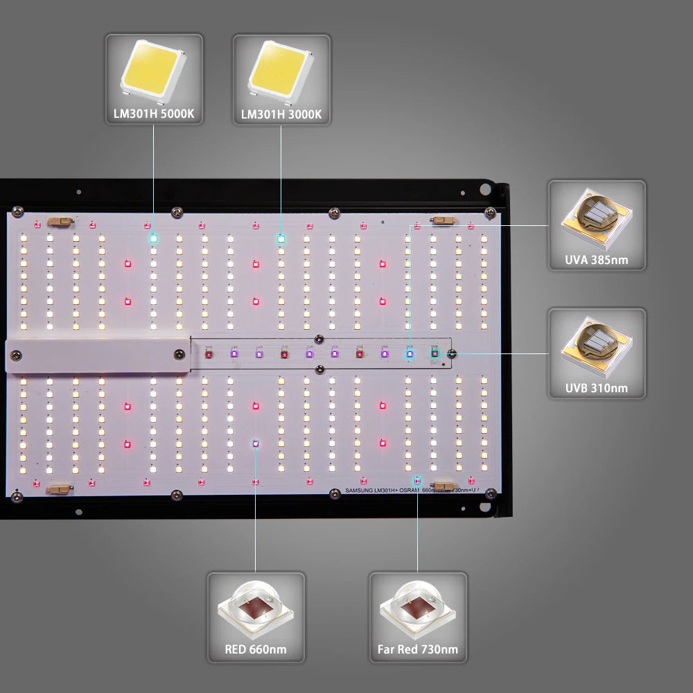 Shenzhen High PPFD Professional Adjust Spectrum 4 Bars Samsung Lm301H 1000W Light Grow LED Complete Tent Kit