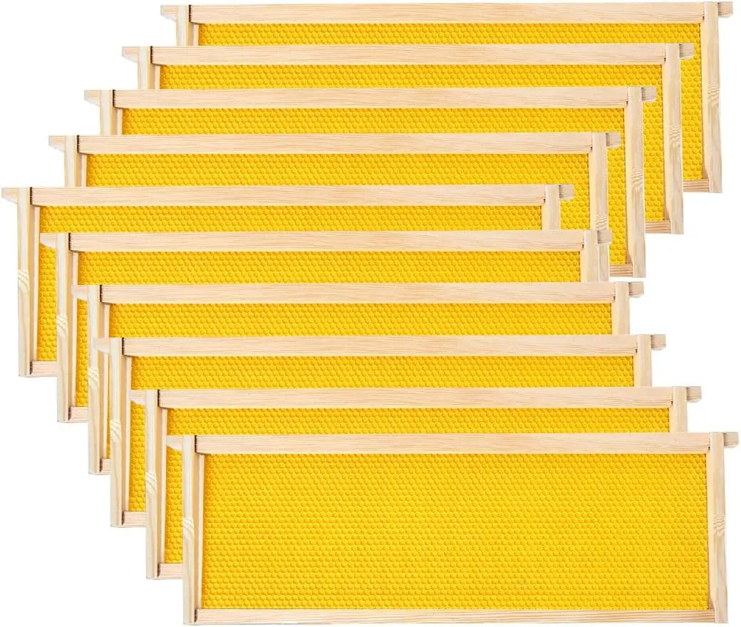 10-Pack 6-1/4-Inch Yellow Beehive Bee Frames with Waxed Pine Wood Foundation Commercial Unassembled Condition