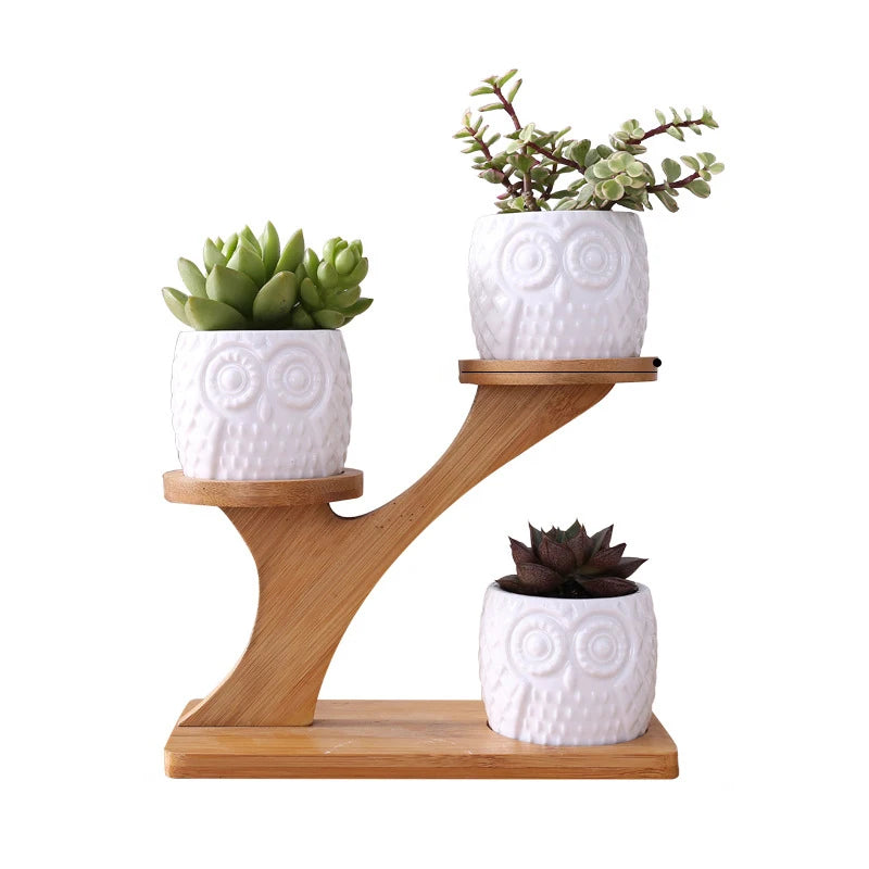 Classic Eco-Friendly Owl Planter Frame Combined Liner Box Packaging Decorative Ceramic Top Potted Flower Pot Creative Quality