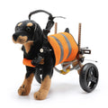 Stainless Steel Dog Harness Wheelchair Pet Rehabilitation Training Device for Disabled Hind Legs Stable Back Legs Support