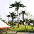 C088 Big Artificial Coconut Tree Courtyard Airport Landscaping Hotel Outdoor Shopping Mall Garden Decoration Coconut Tree