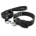 Wholesale Stocked Pet Dog Rope Leash Cotton