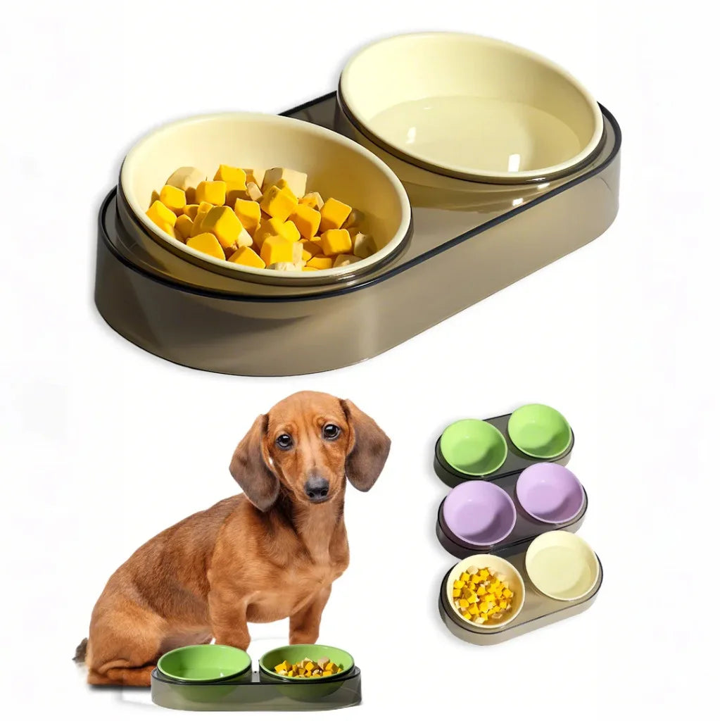 Macaron Color Solid Anti-Knocking Double Bowl Cat Dog Feeder Integrated Plastic Utensils Water for Pets Transparent Insulated