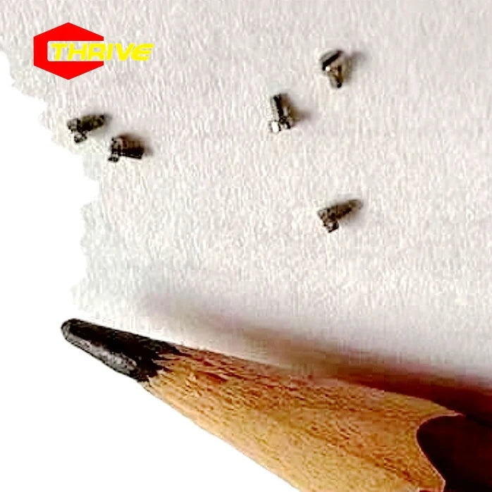 304 316 Small Electronics Screws T3 T4 T5 00#  M0.6 M0.8 M1  Watch Screw Mobile Phone Screw