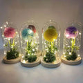 AYOYO OEM Rose LED Lamp Glass Cover Soap Flower Table Tennis Chrysanthemum Gift Box for Mothers Day 2025