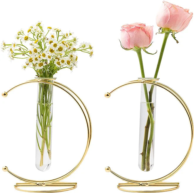 Hot Sale Moon Shaped Iron Hanging Stand Rack Holder With Glass Tube Decorative Vase for Home Wedding Decoration