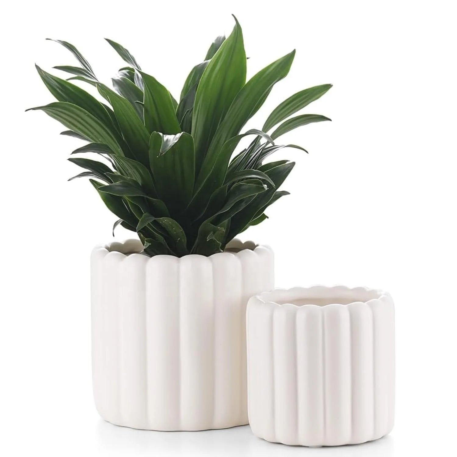 Elegant Matt Glaze Minimalist White Ceramic Flower Pot With Drainage Hole Plant Garden Exquisite Home Decoration