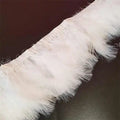 Hot Sale in Large Quantities Thick Fluffy Marabou Trim Turkey Feather Fringe for Garments Clothes Accessories