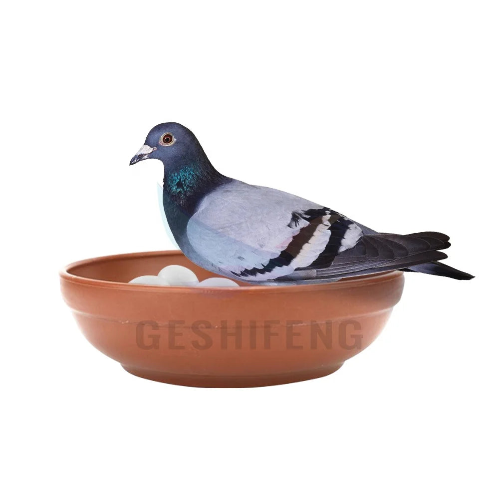 Geshifeng Wholesale Pigeon Plastic Nest 22.5cm Bird Racing Breeding Nest Accessories