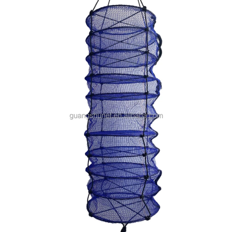 Oysters Raw Oysters Pearl Shell Shellfish Lantern Net