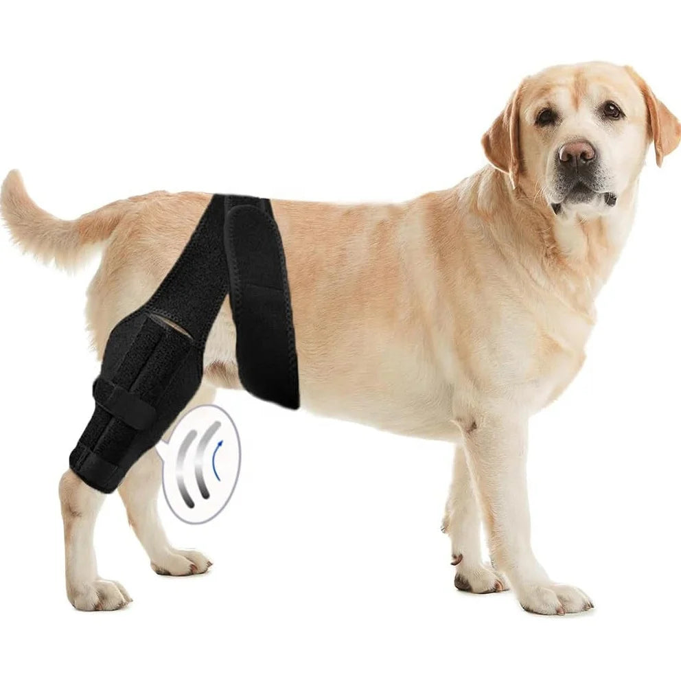 Soft Dog Knee Brace for ACL Pet Knee Support Protector Leg Recovery Sleeve Brace Reduces Joint Pain