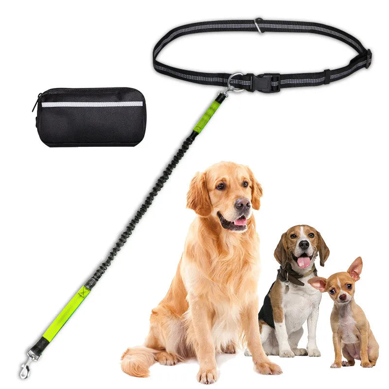 Stocked Wholesale Reflective Retractable Dog Running Leashes with Poop Bag