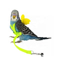 Anti-bite Cute Macaw Cockateil African Grey Parrot Flying Harness Bird Rope Leash Training