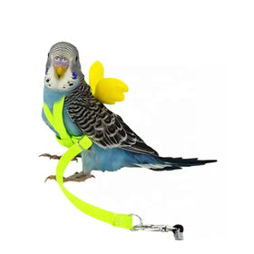 Anti-bite Cute Macaw Cockateil African Grey Parrot Flying Harness Bird Rope Leash Training