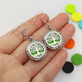 Wholesale 316L Stainless Steel 20mm Aromatherapy Essential Oil Diffuser Perfume Magnetic Locket Drop Earrings with Felt Pads