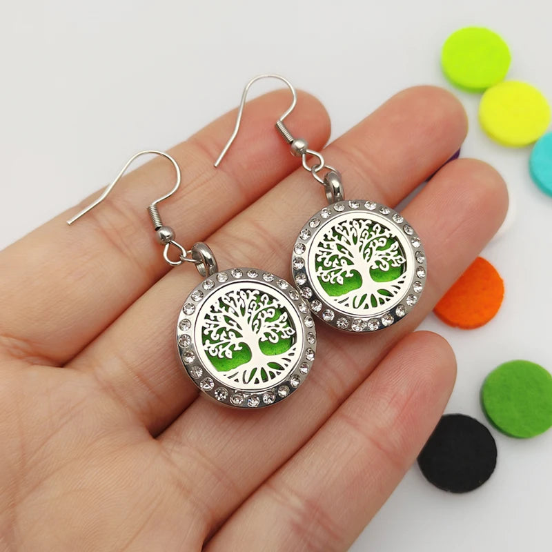Wholesale 316L Stainless Steel 20mm Aromatherapy Essential Oil Diffuser Perfume Magnetic Locket Drop Earrings with Felt Pads